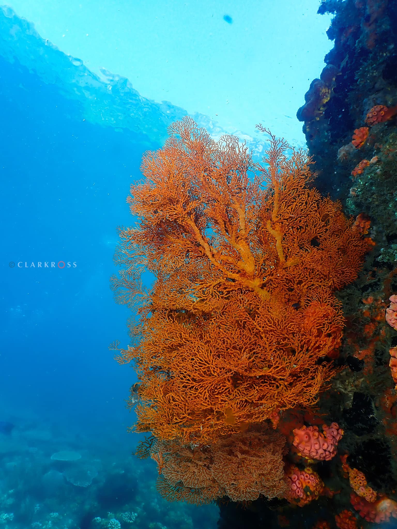 Travel Mindoro PH