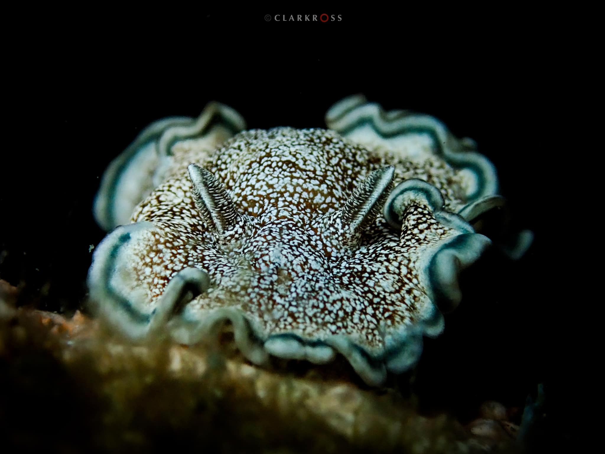 Travel Mindoro PH