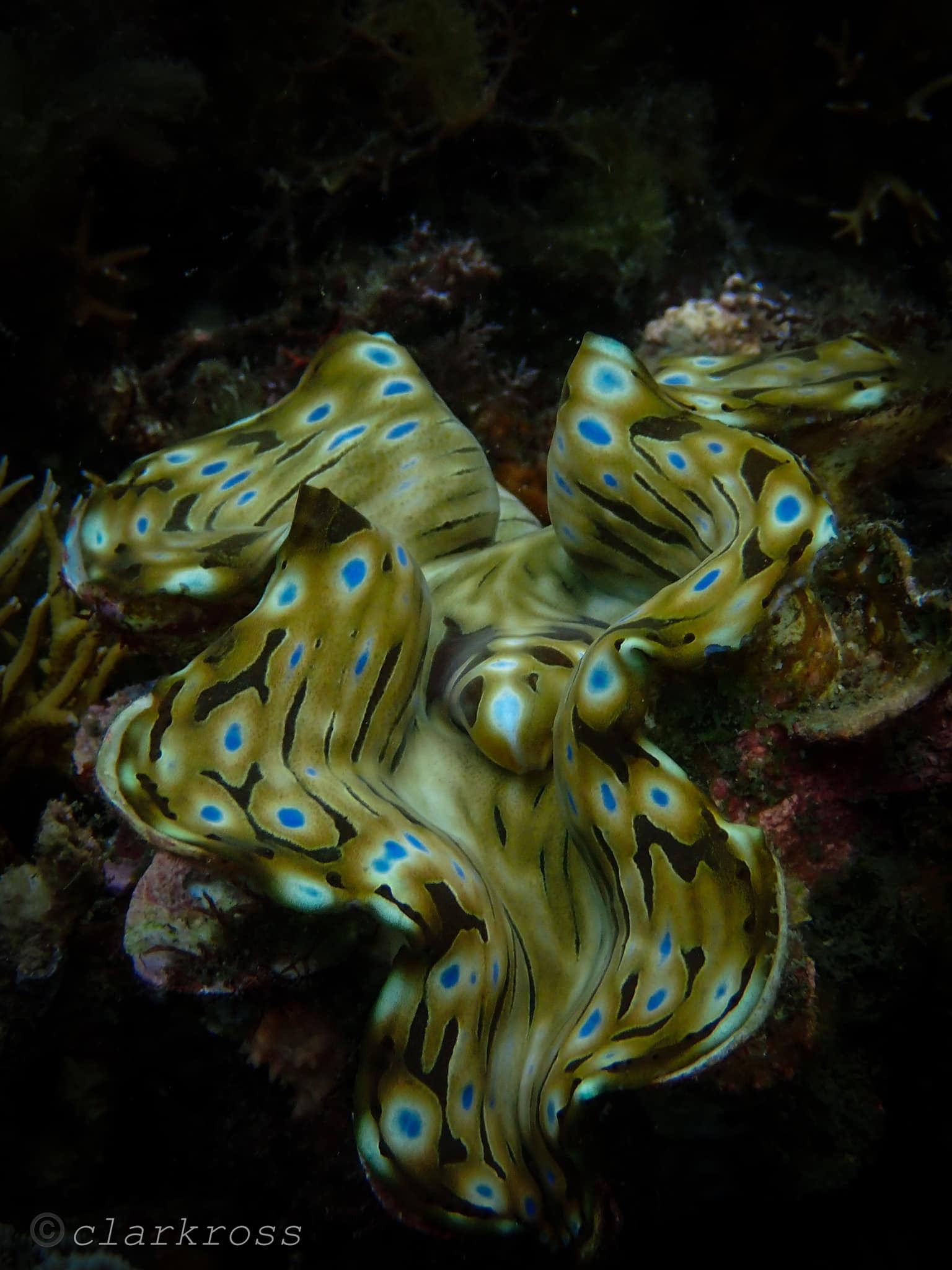 Travel Mindoro PH